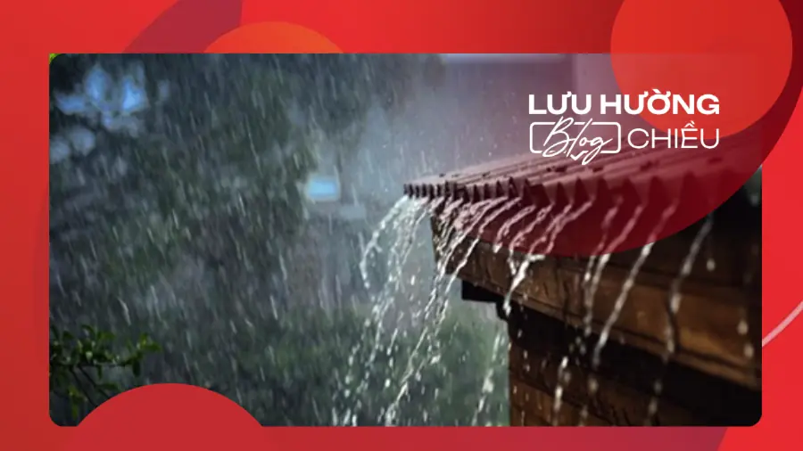 Hơi ấm trong cơn mưa